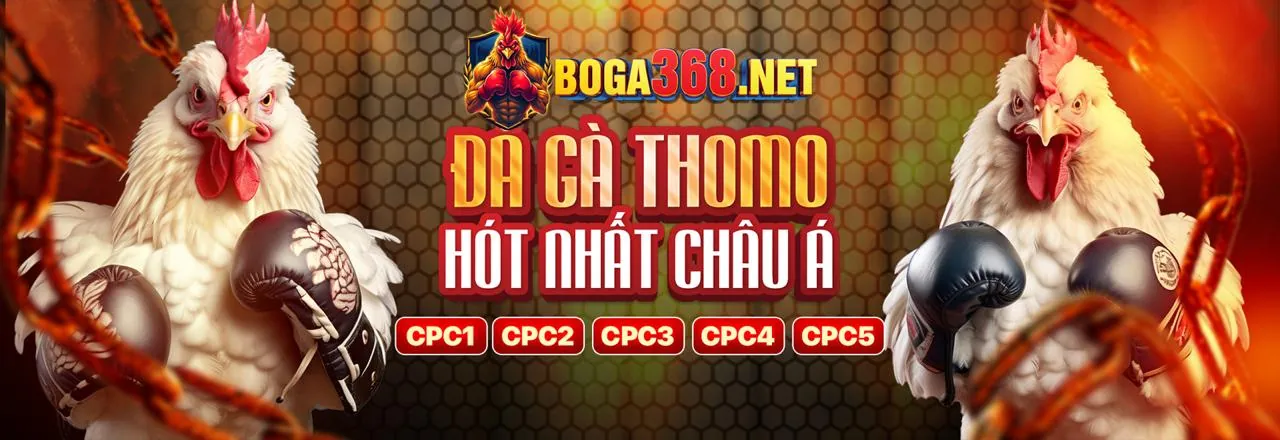 Hình ảnh chính Tin tức 69vin đăng nhập